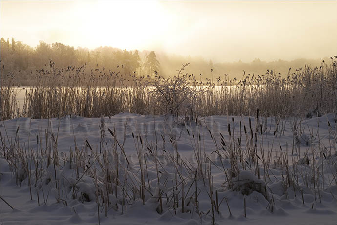 Vintersjö - foto av Eva Bucksch